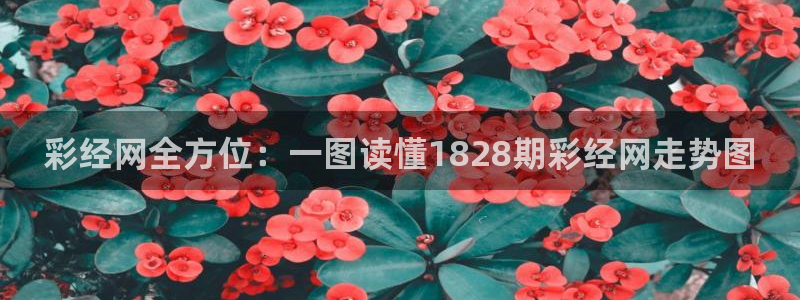 彩经网全方位：一图读懂1828期彩经网走势图