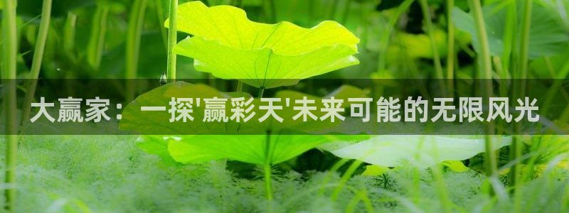 壹号娱乐集团总部