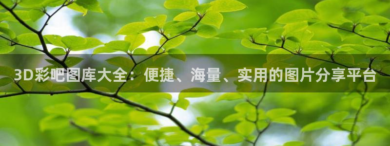 壹号娱乐体育4：3D彩吧图库大全：便捷、海量、实用的图片分享平台