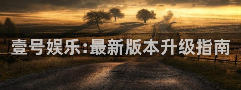 壹号娱乐集团股票：壹号娱乐:最新版本升级指南